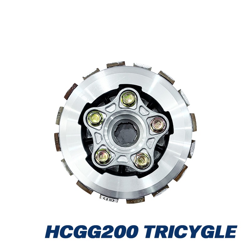 HCGG200 TRICYGLE(2)